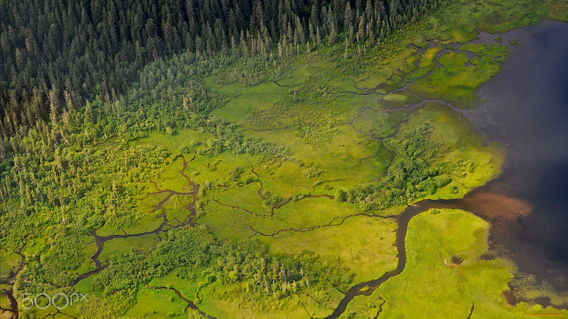 природа, пейзажи, вид, сверху, река, лес, болота