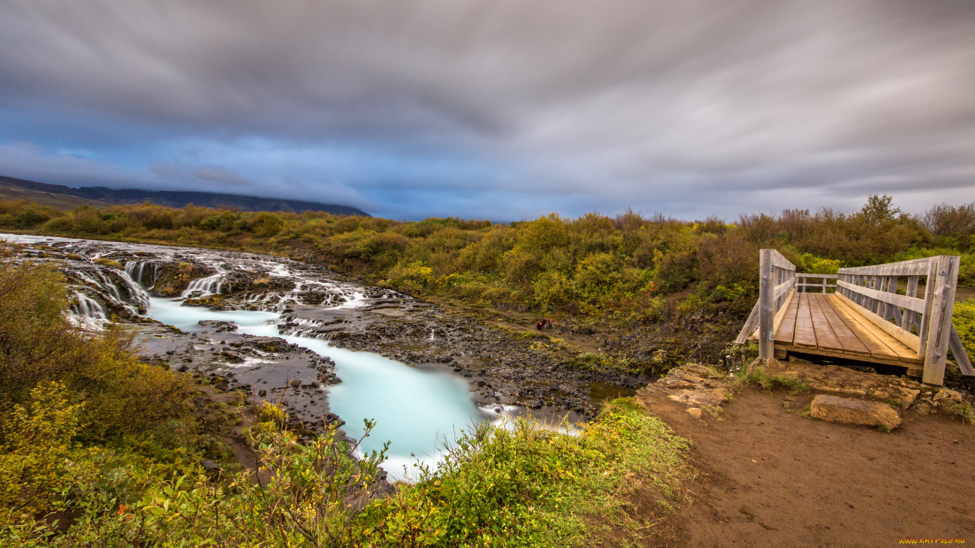 природа, реки, озера, лес, река