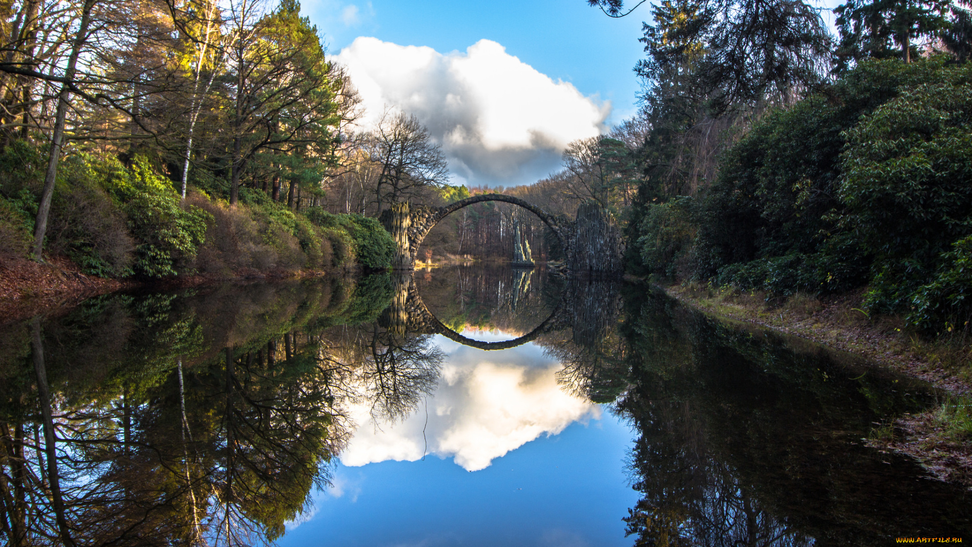 природа, реки, озера, река, лес