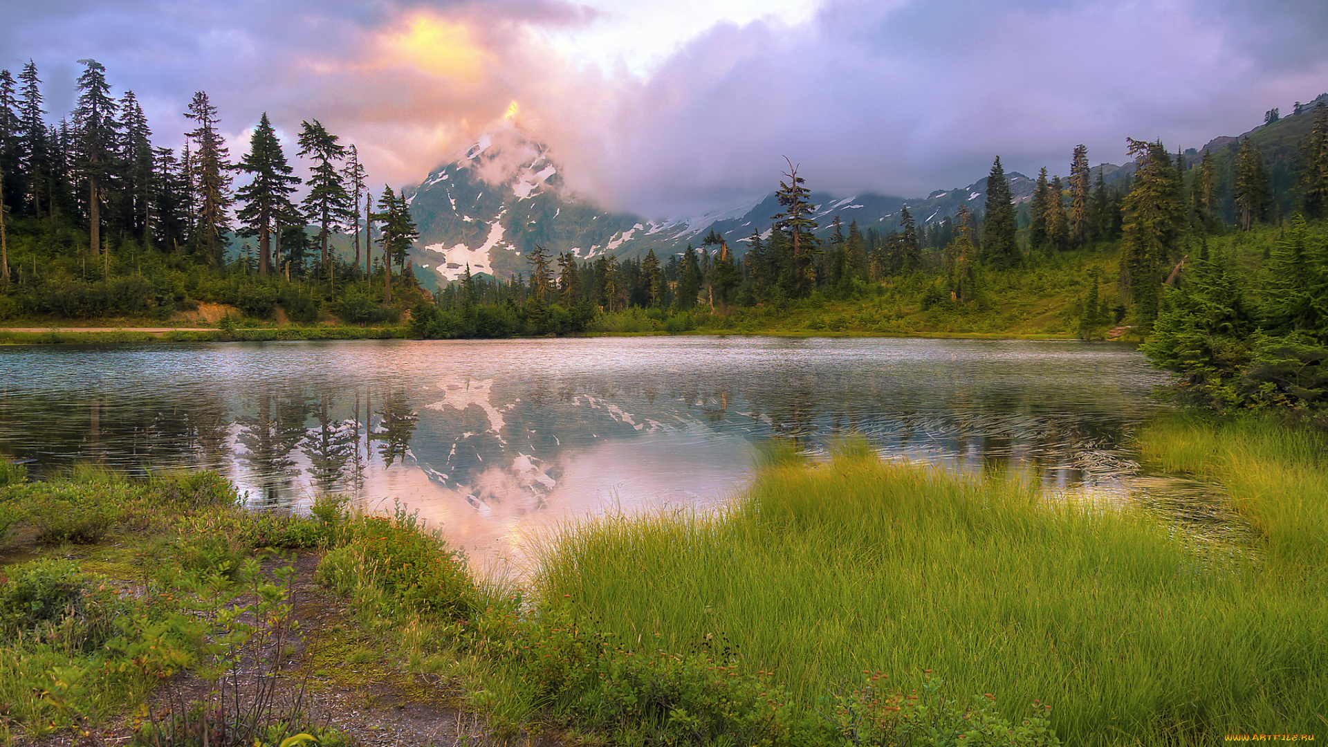 природа, реки, озера, река, лес