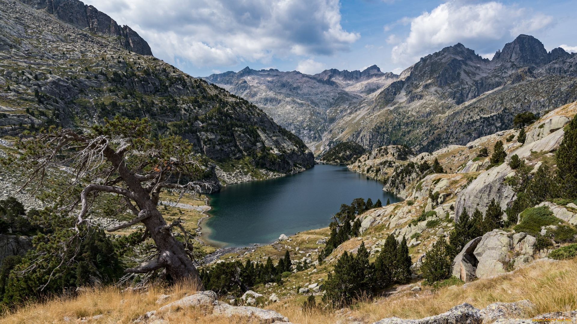 природа, реки, озера, река, лес