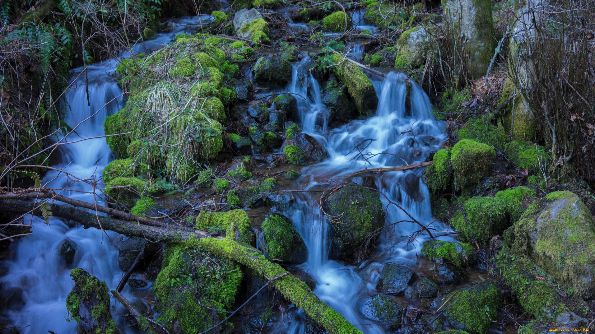 природа, водопады, лес, река, водопад