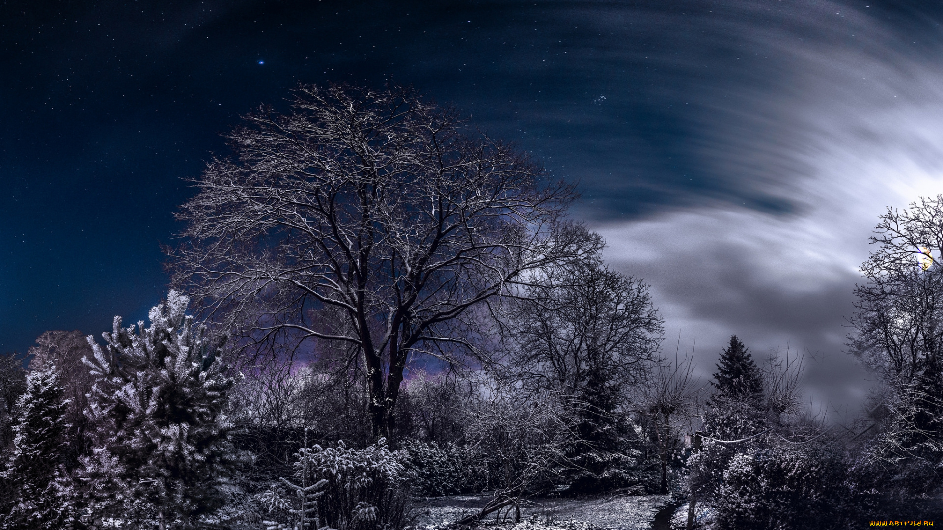 природа, зима, простор