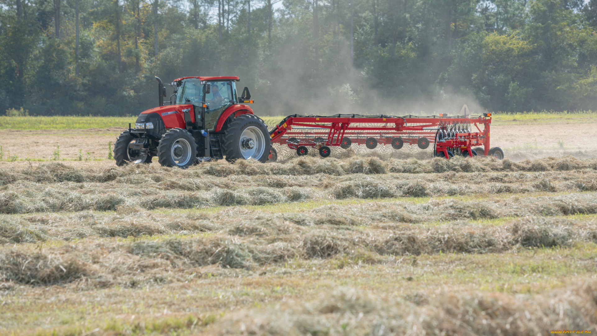 техника, тракторы, case