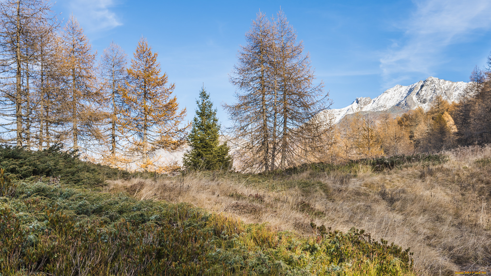 природа, пейзажи, простор