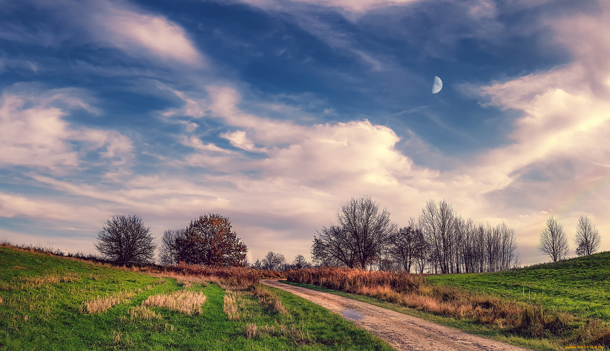 природа, дороги, простор