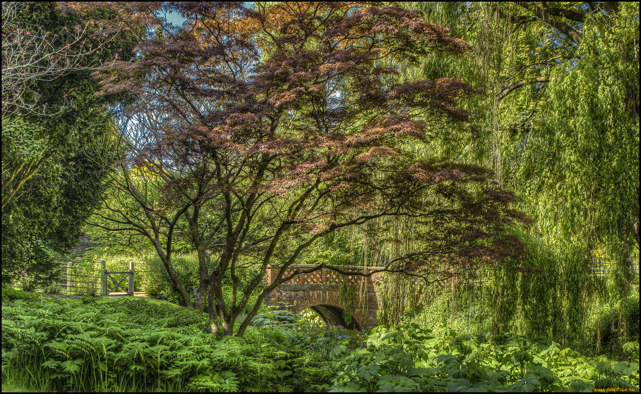 природа, реки, озера, лес, река