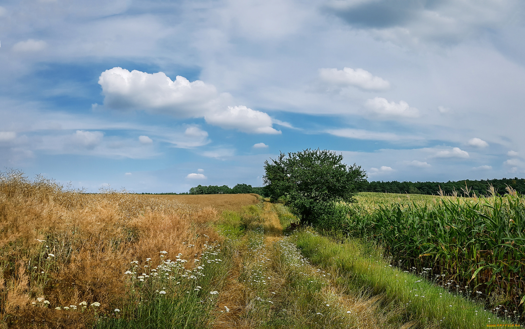 природа, дороги, простор