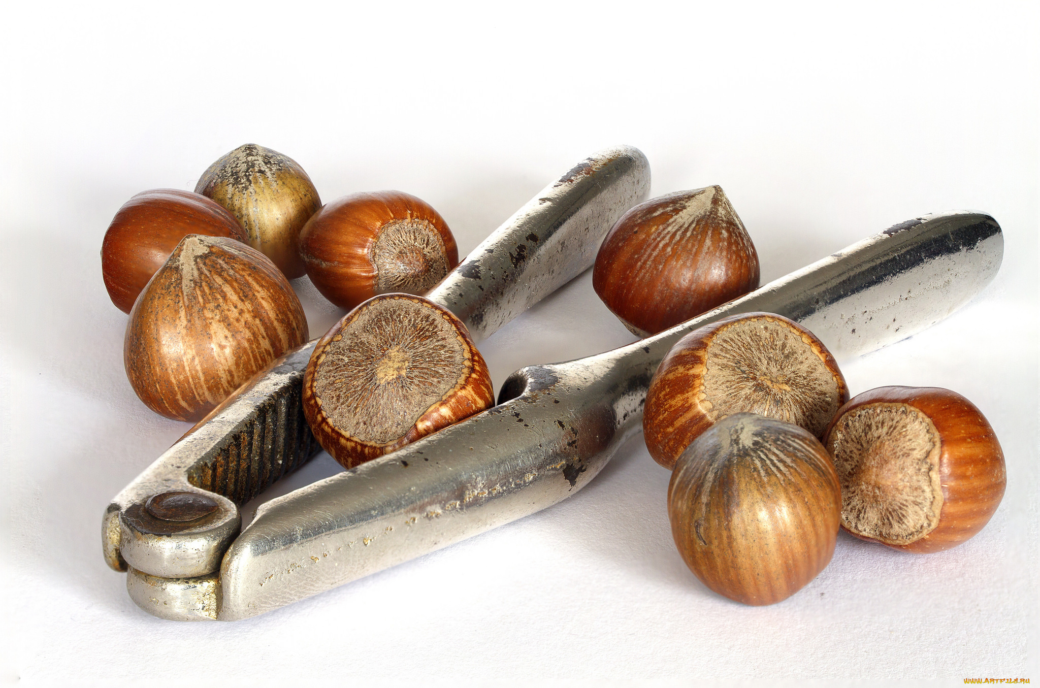 еда, орехи, , каштаны, , какао-бобы, фундук