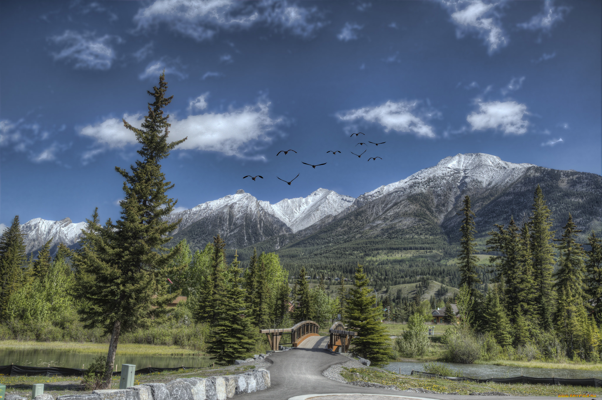 природа, пейзажи, простор