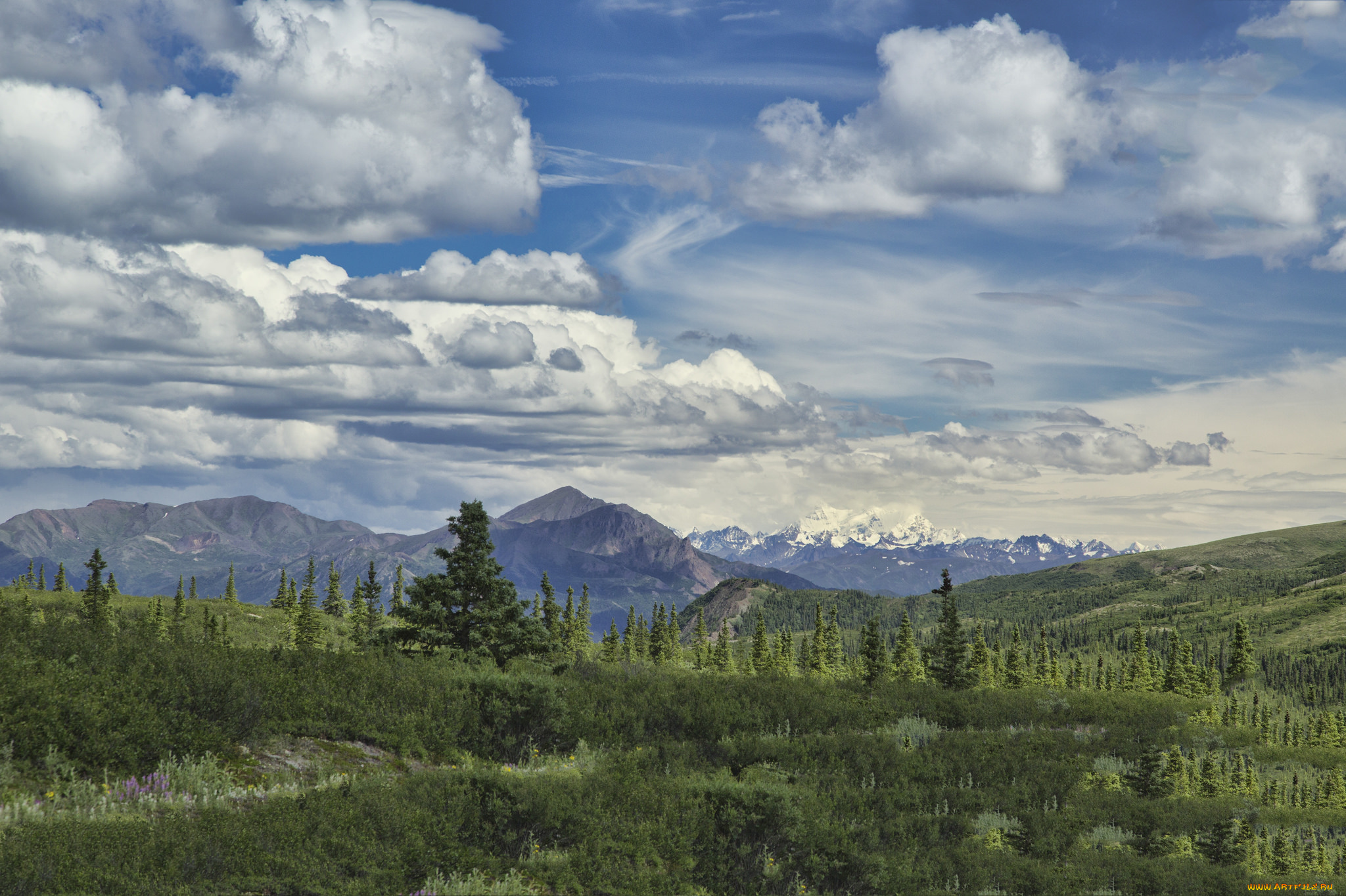 природа, пейзажи, простор