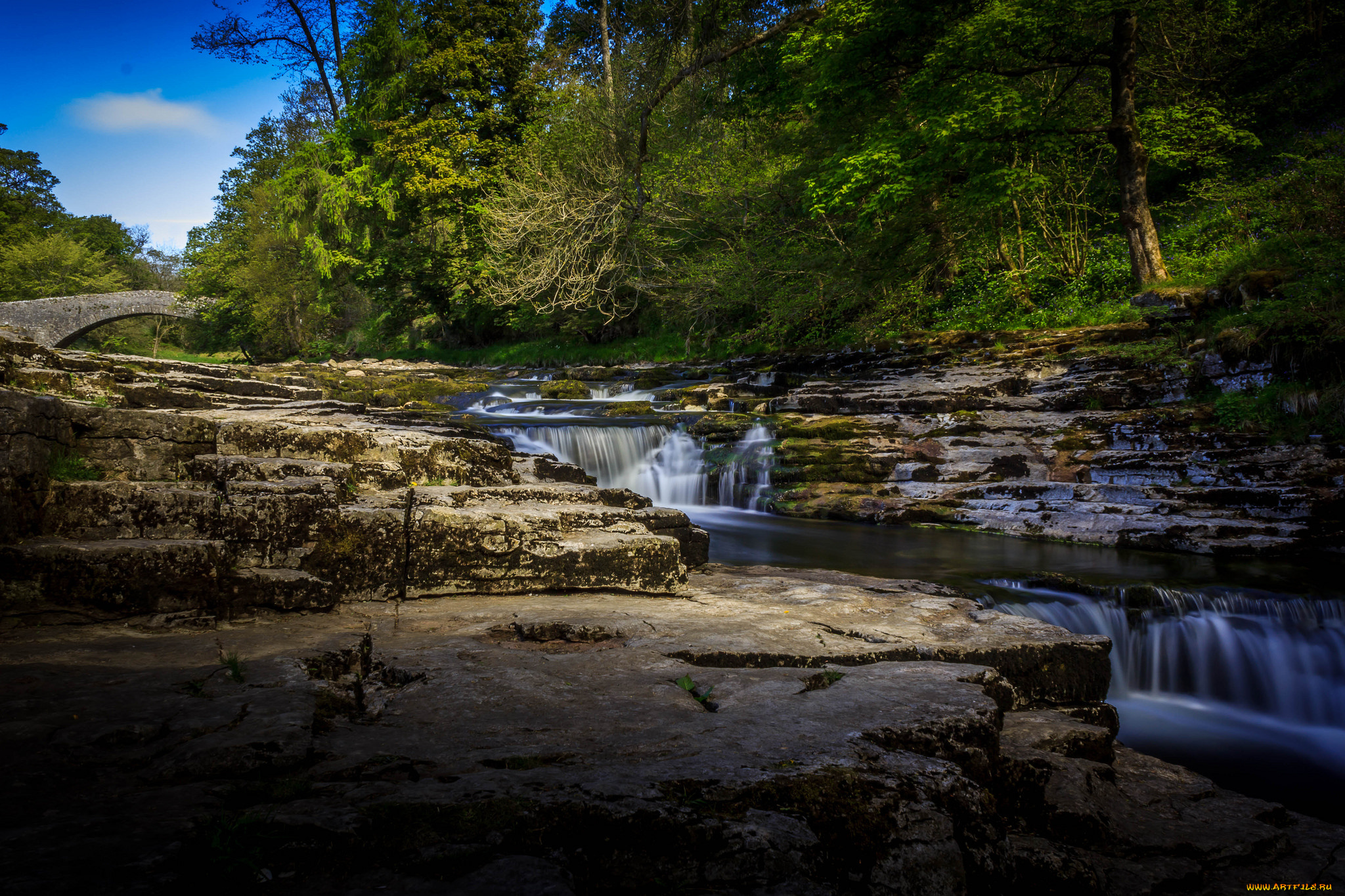 природа, реки, озера, лес, река