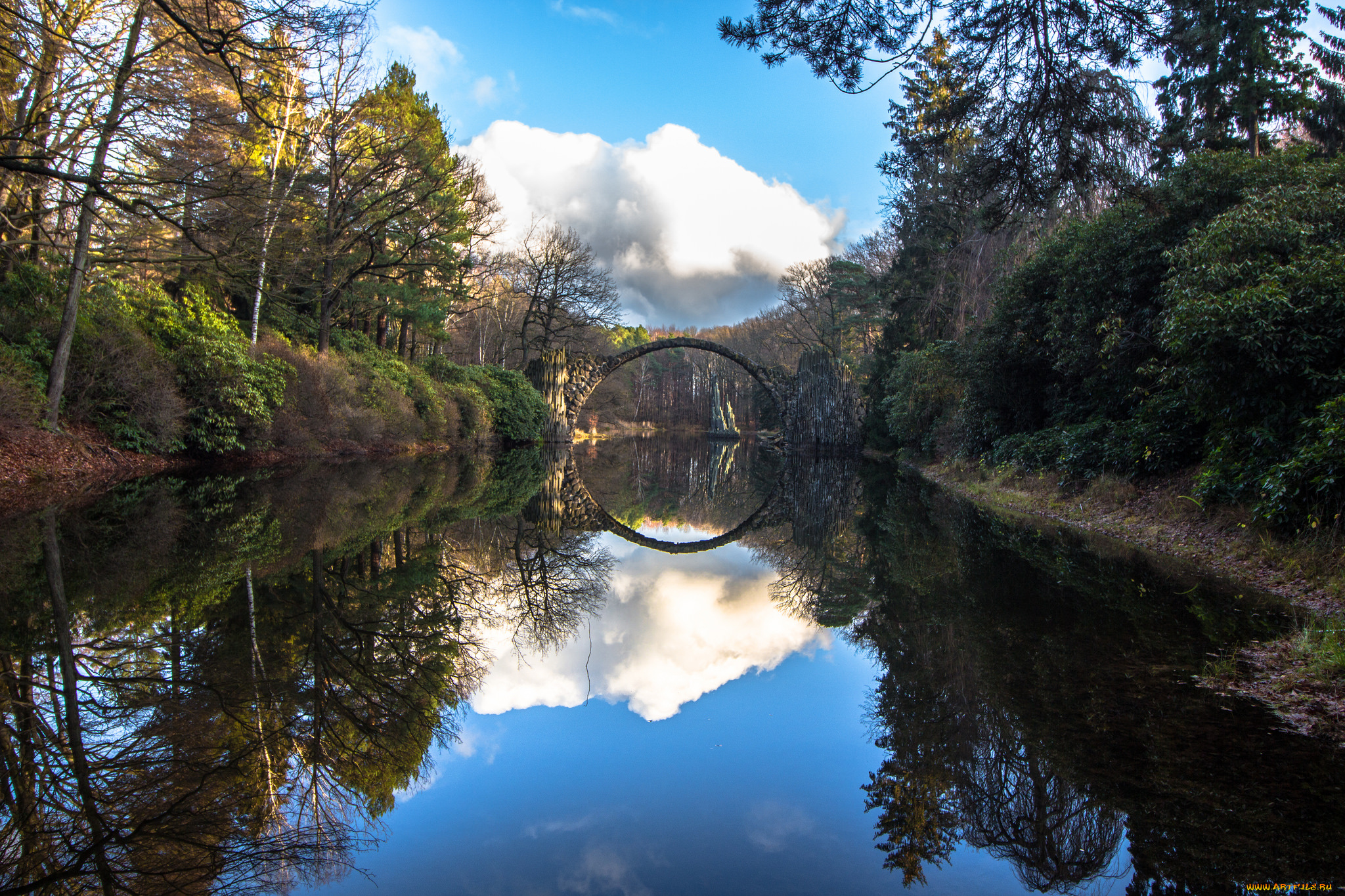 природа, реки, озера, река, лес