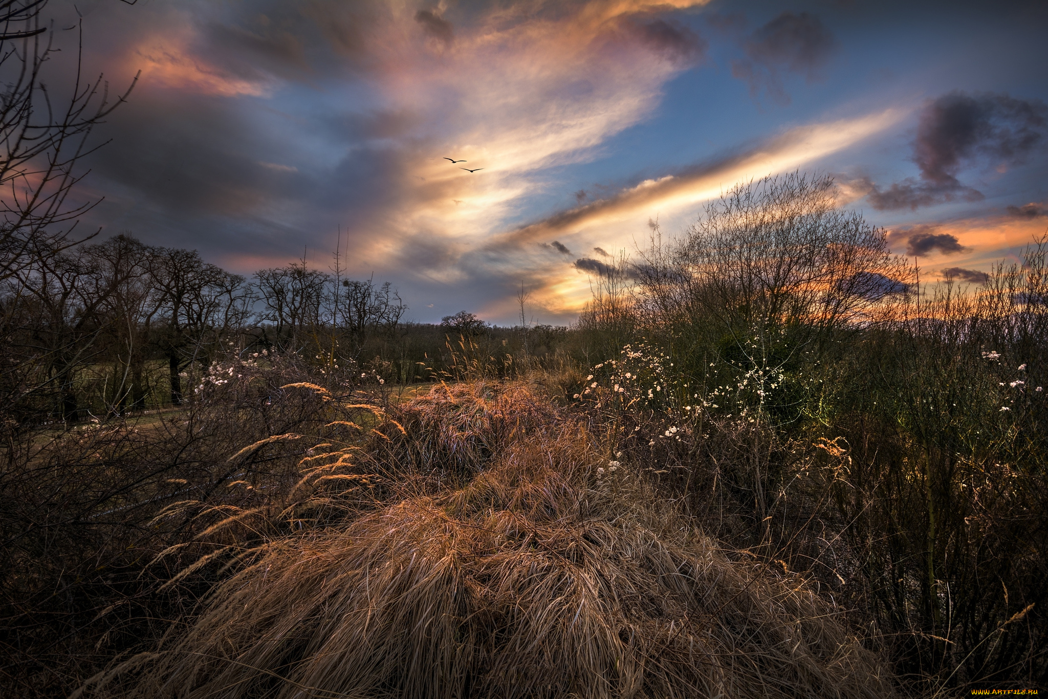 природа, пейзажи, простор