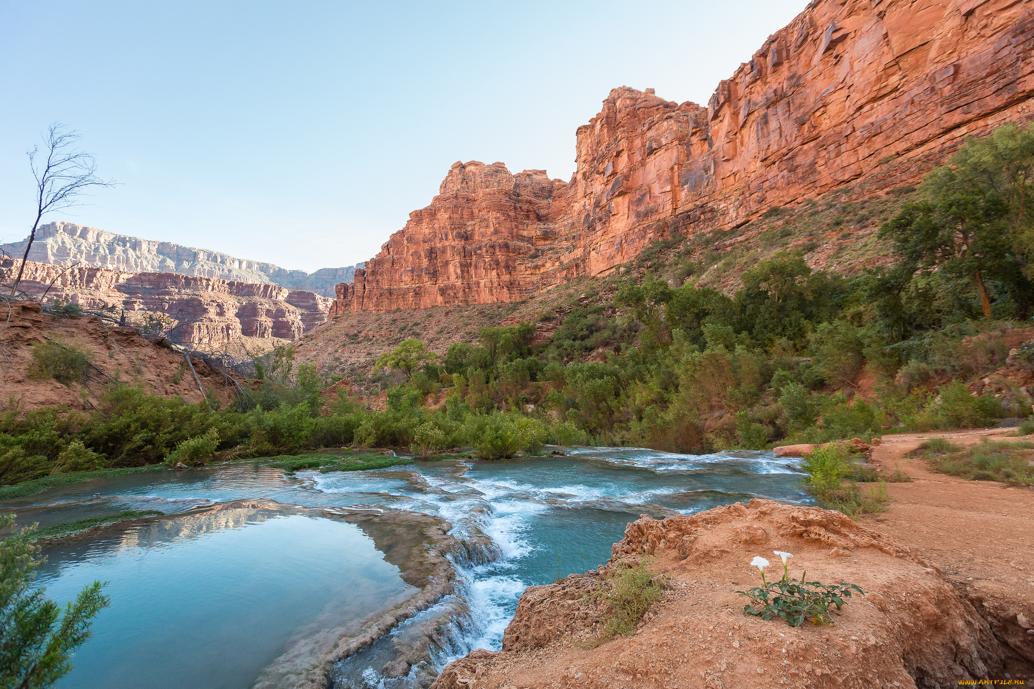 природа, реки, озера, лес, река