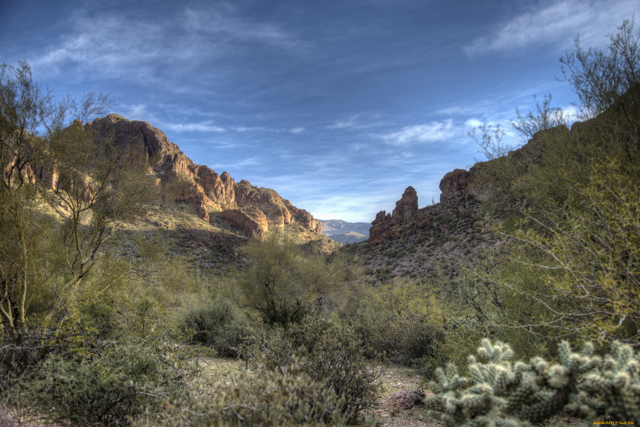 природа, пейзажи, простор