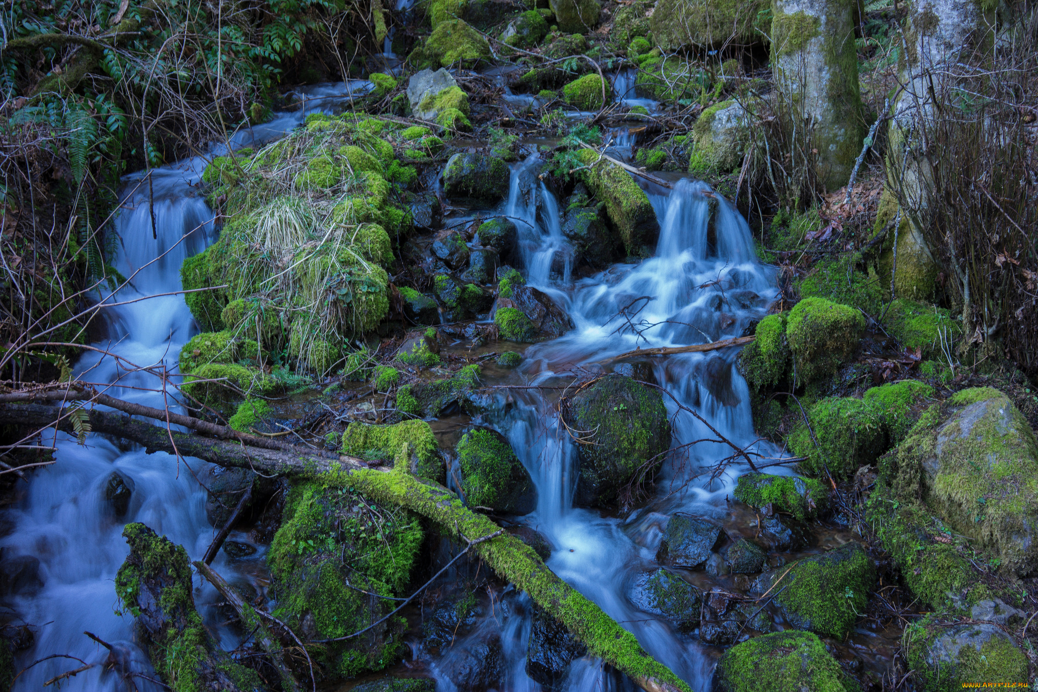 природа, водопады, лес, река, водопад