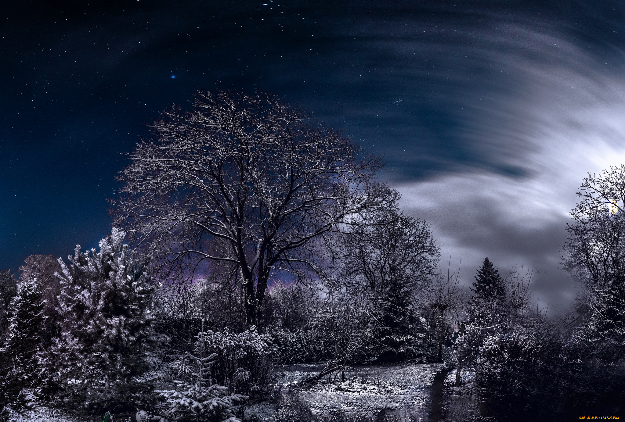 природа, зима, простор