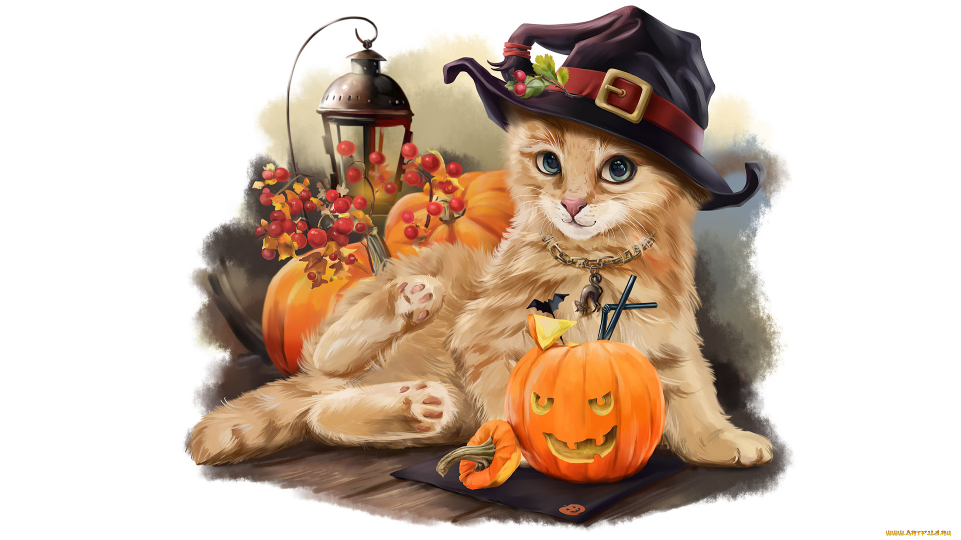 праздничные, хэллоуин, взгляд, тыква, фон, кот