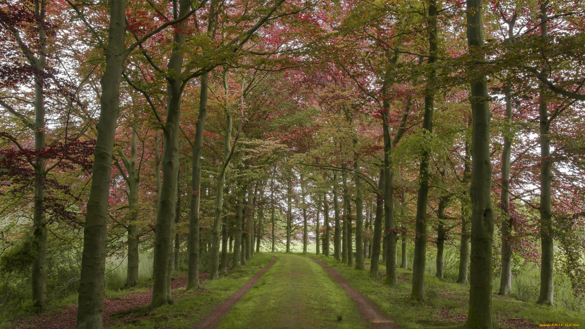 природа, дороги, простор