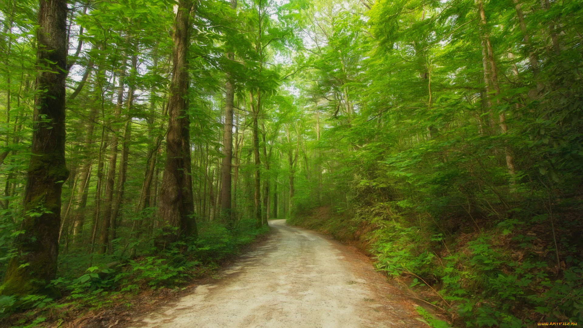 природа, дороги, простор