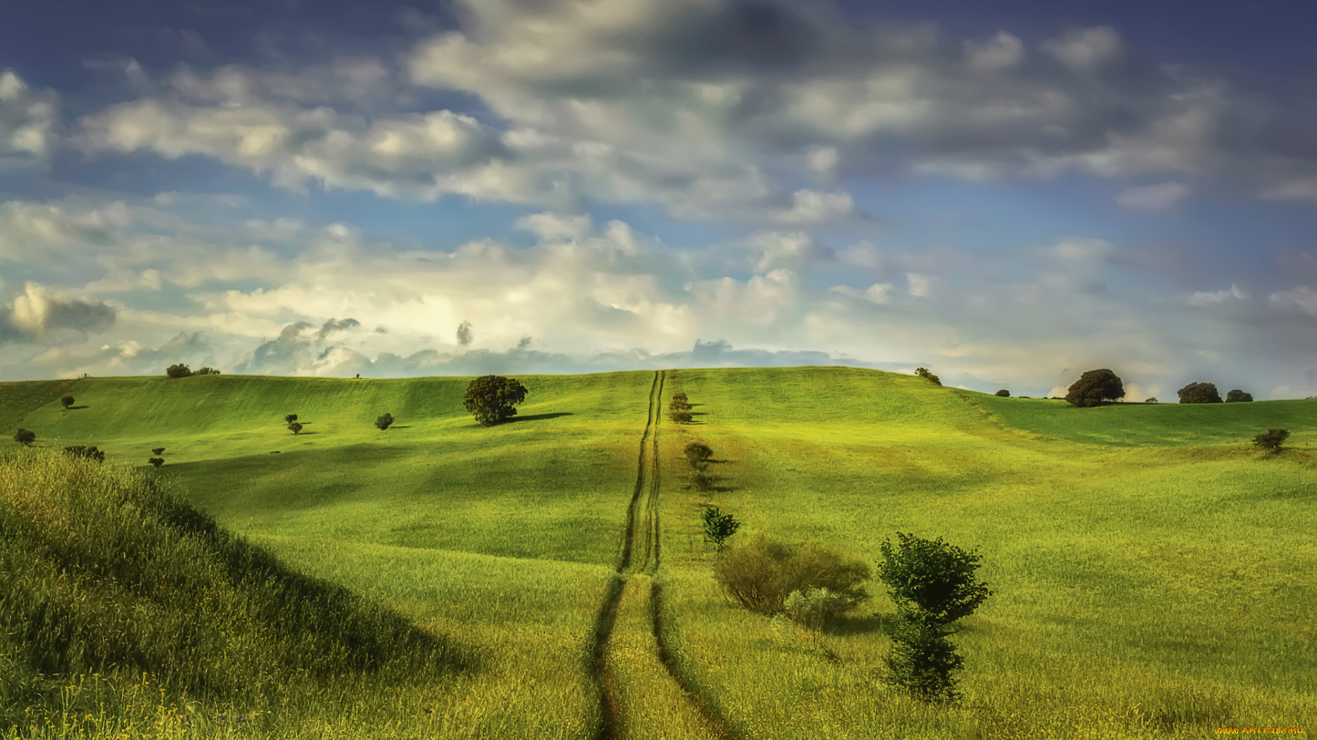 природа, поля, простор