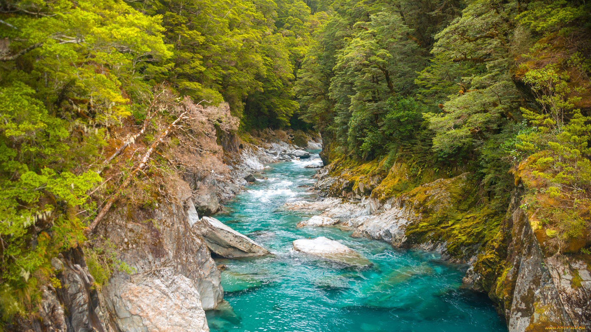 природа, реки, озера, простор