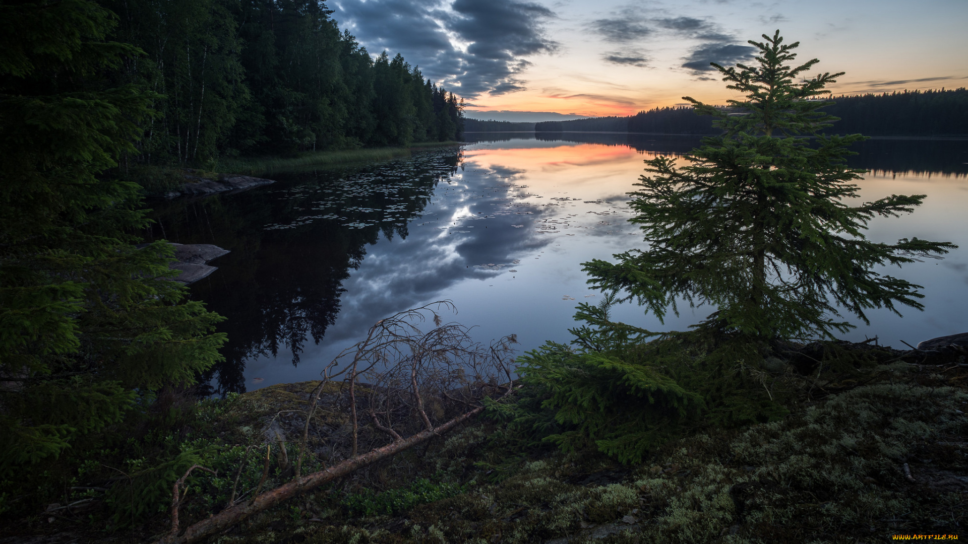 природа, реки, озера, простор