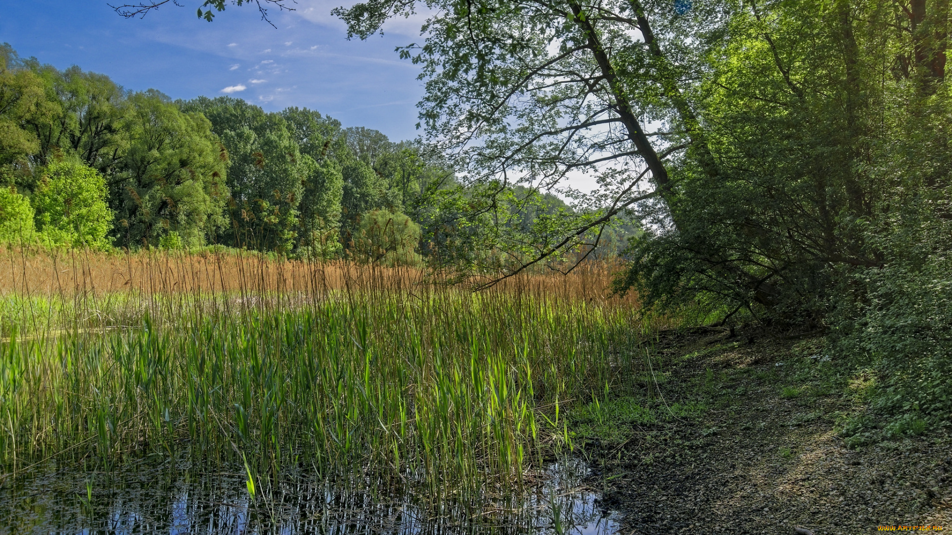 природа, реки, озера, простор