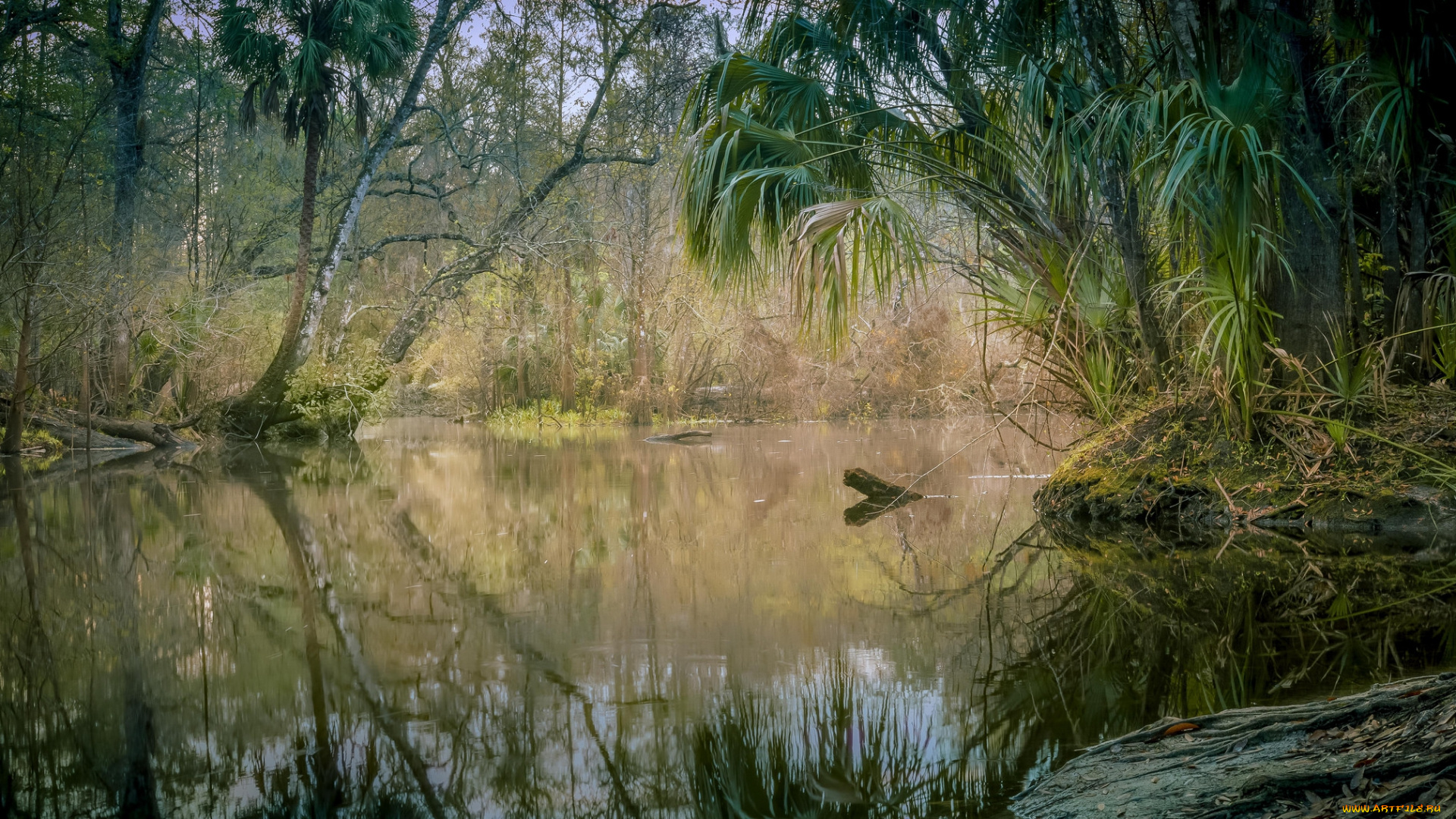 природа, реки, озера, простор