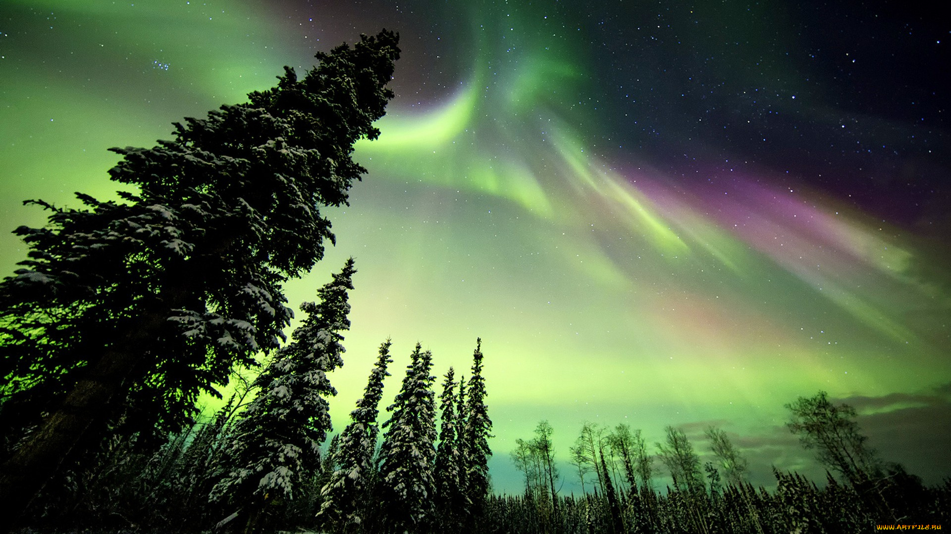 природа, северное, сияние, простор