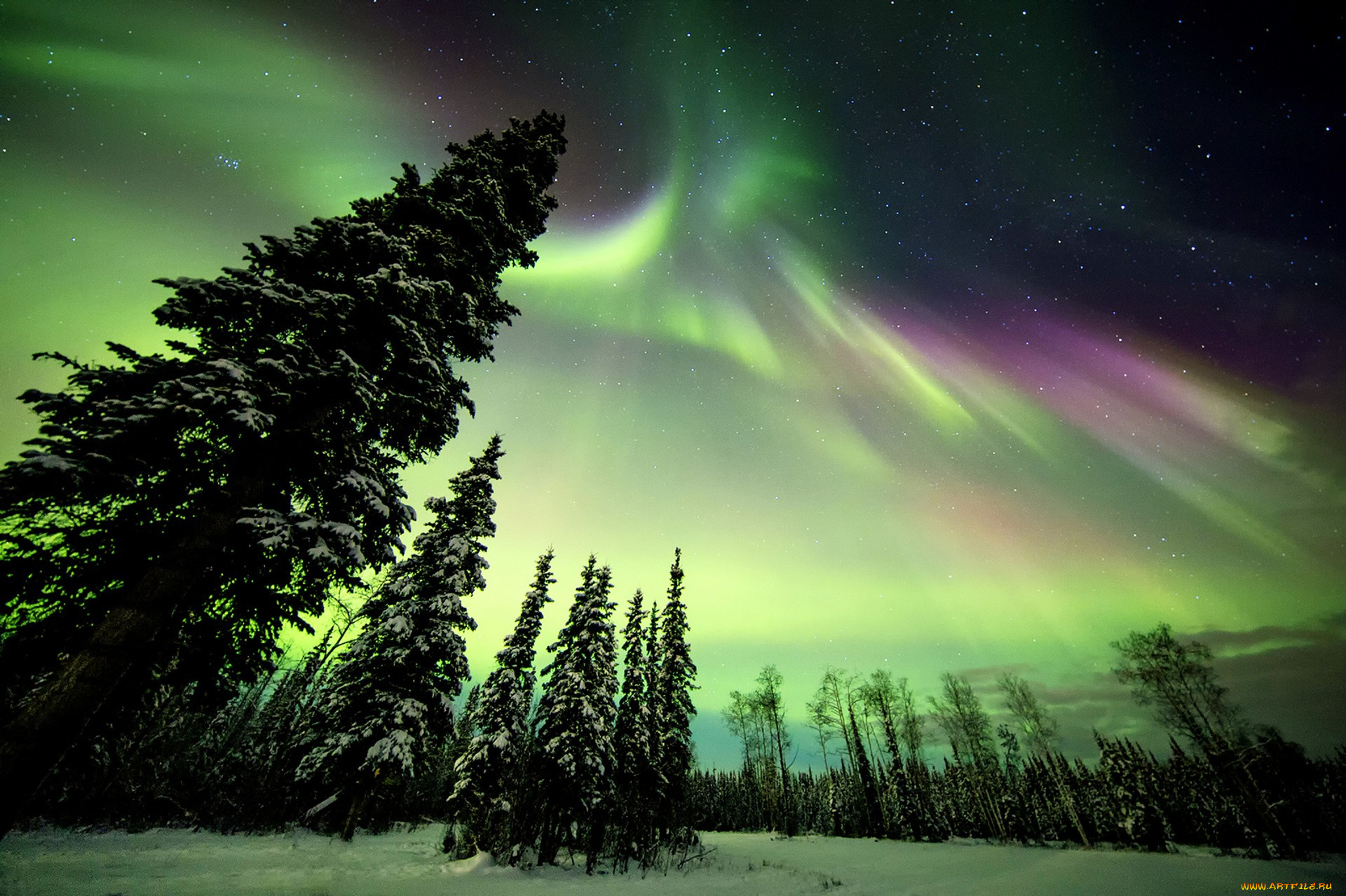природа, северное, сияние, простор