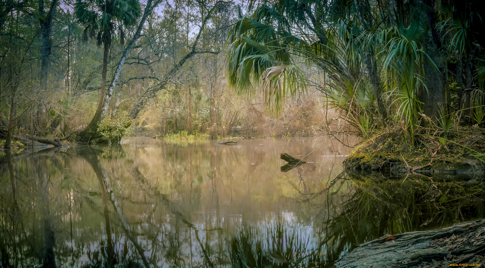 природа, реки, озера, простор