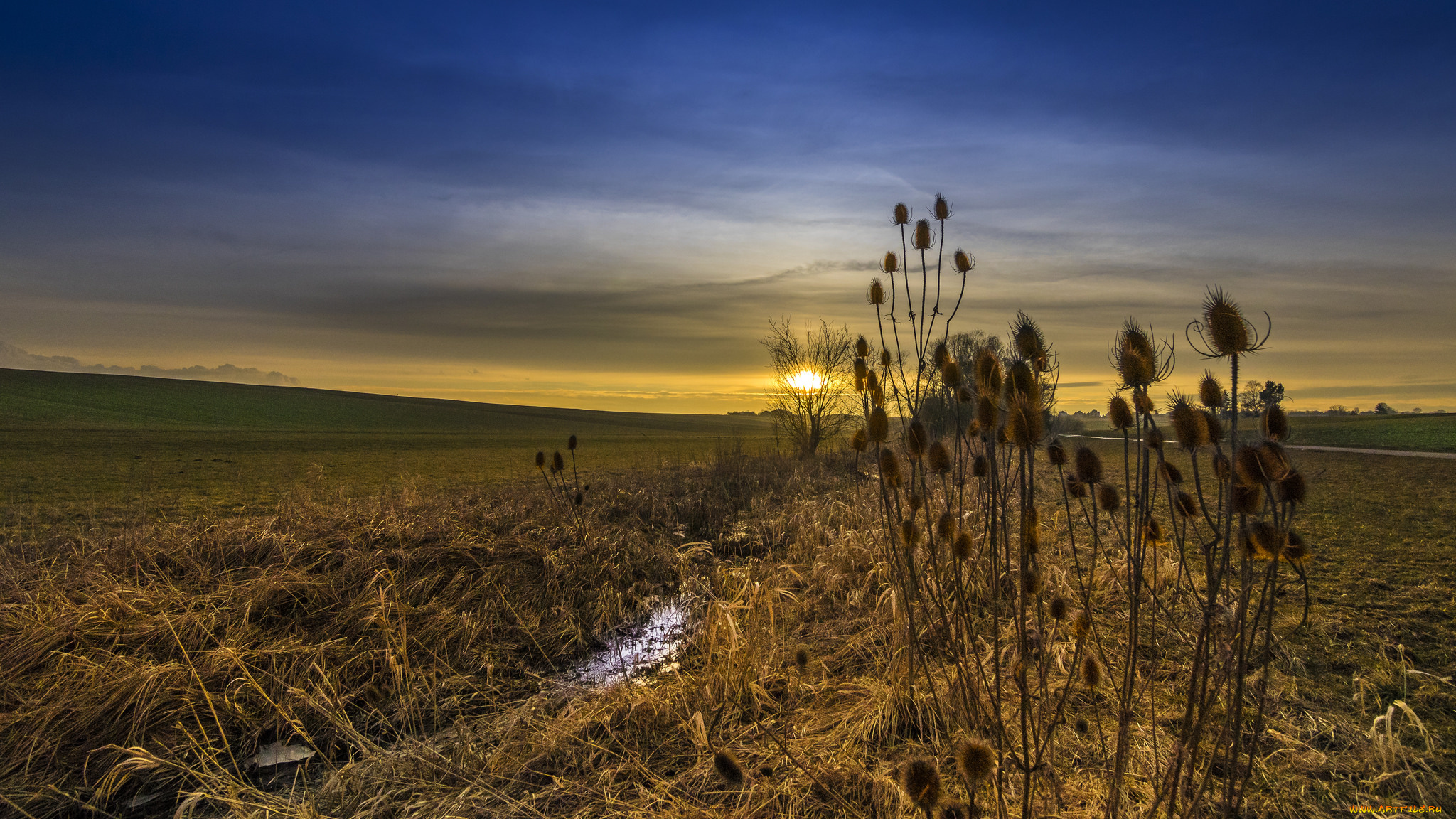 природа, пейзажи, простор