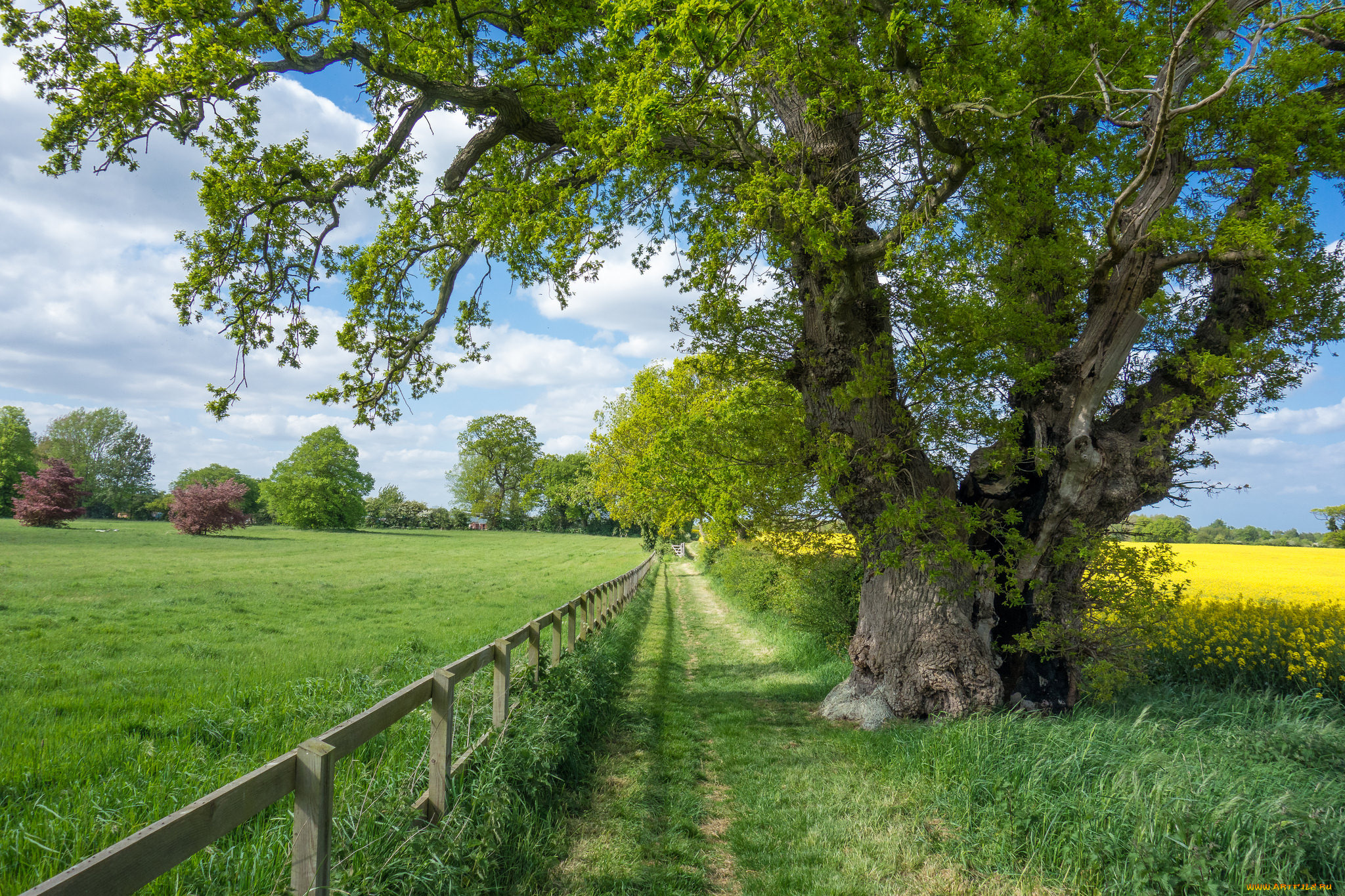 природа, дороги, простор