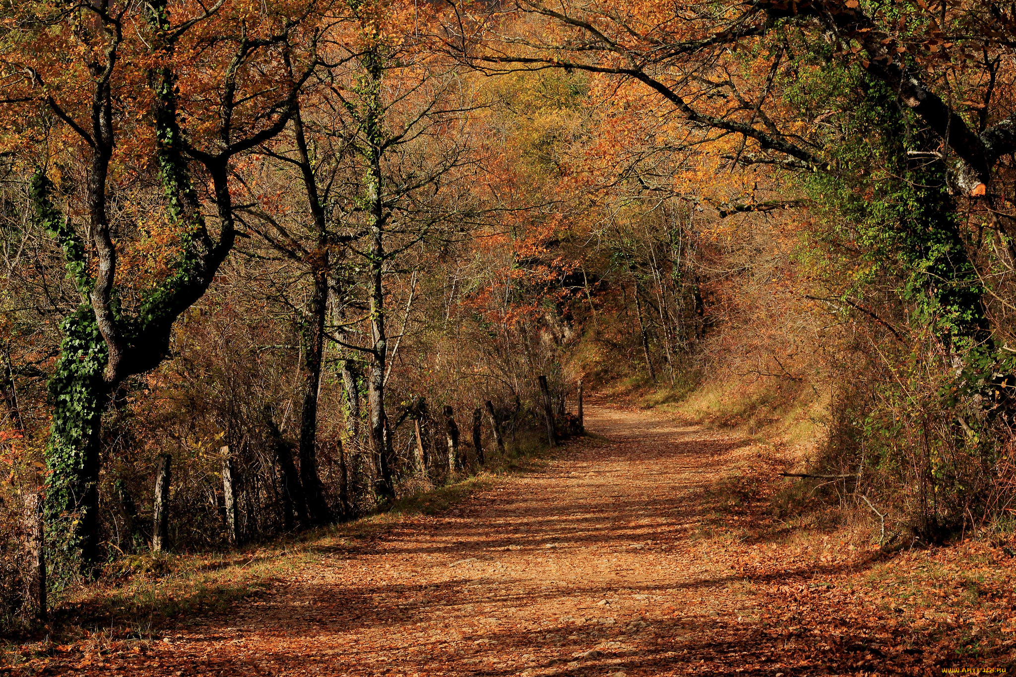 природа, дороги, простор