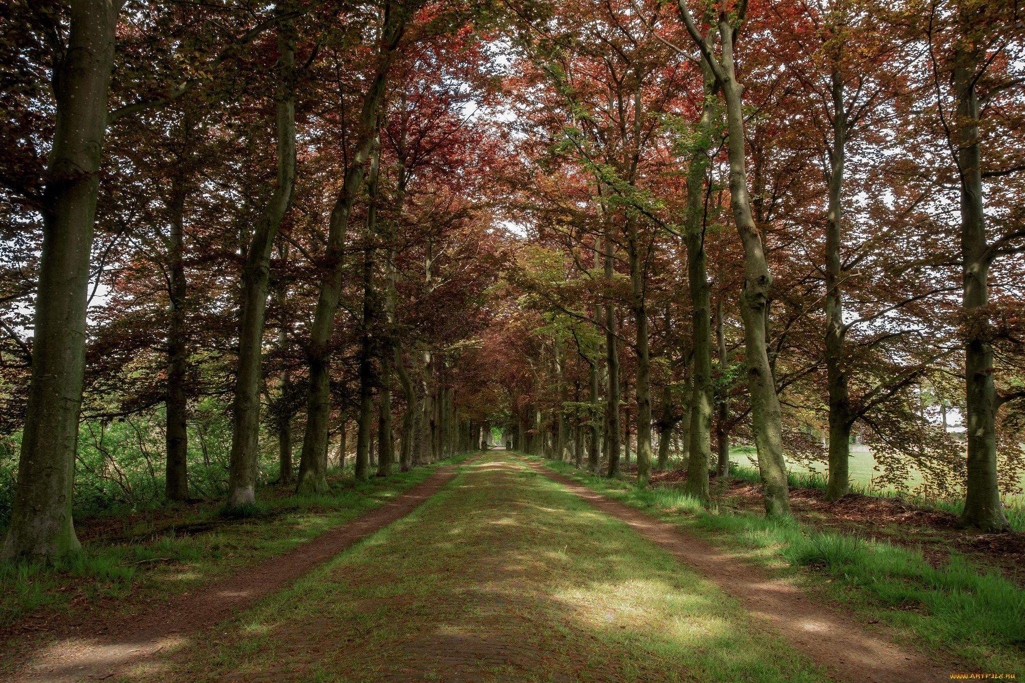 природа, дороги, простор