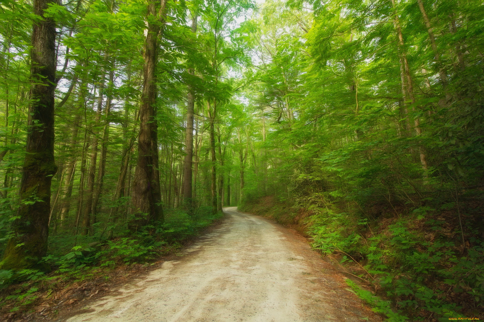 природа, дороги, простор