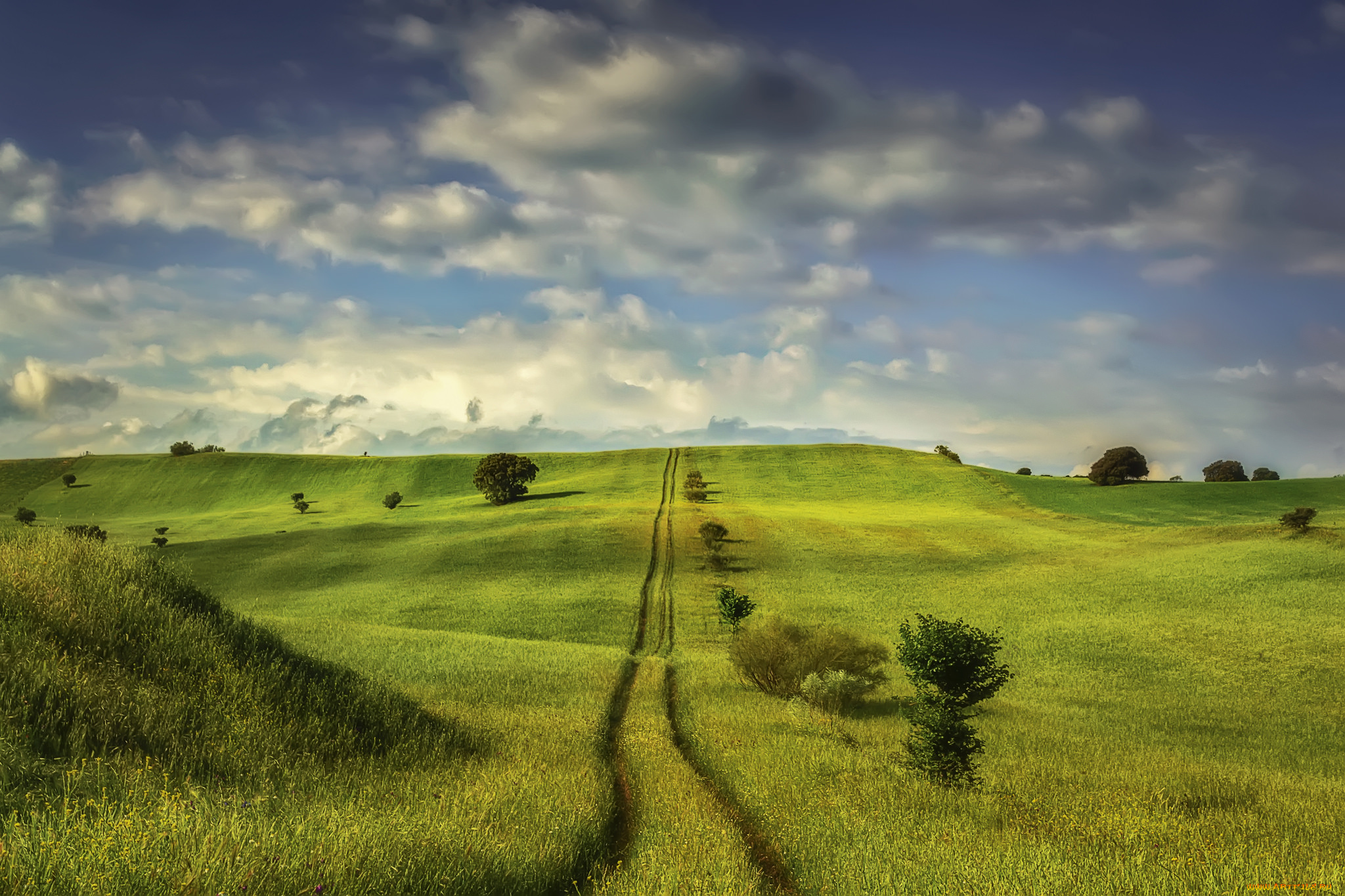 природа, поля, простор