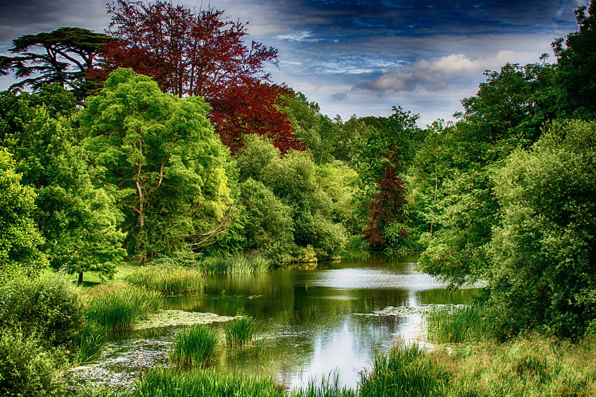 природа, реки, озера, простор