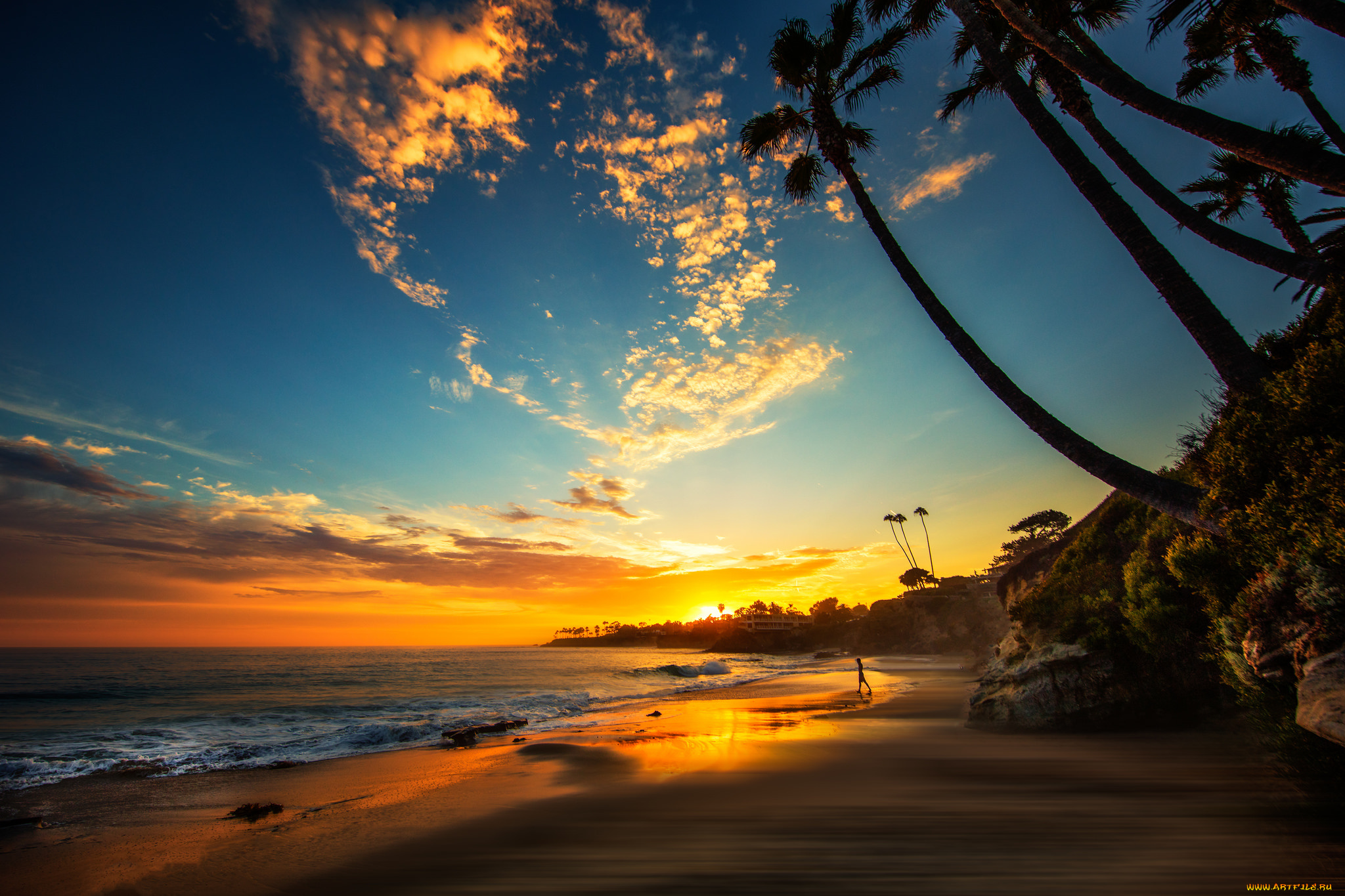 природа, тропики, простор