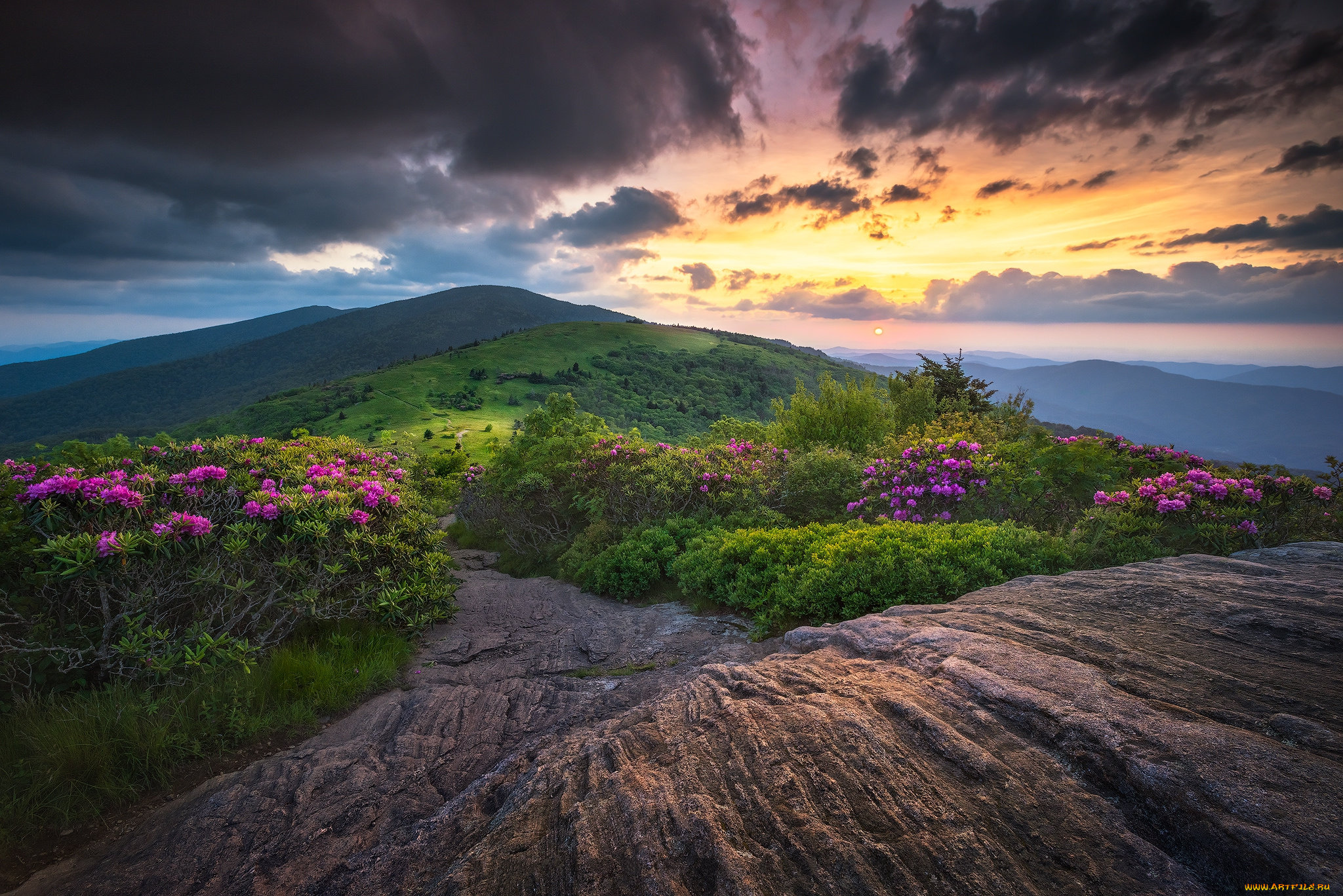 природа, пейзажи, простор