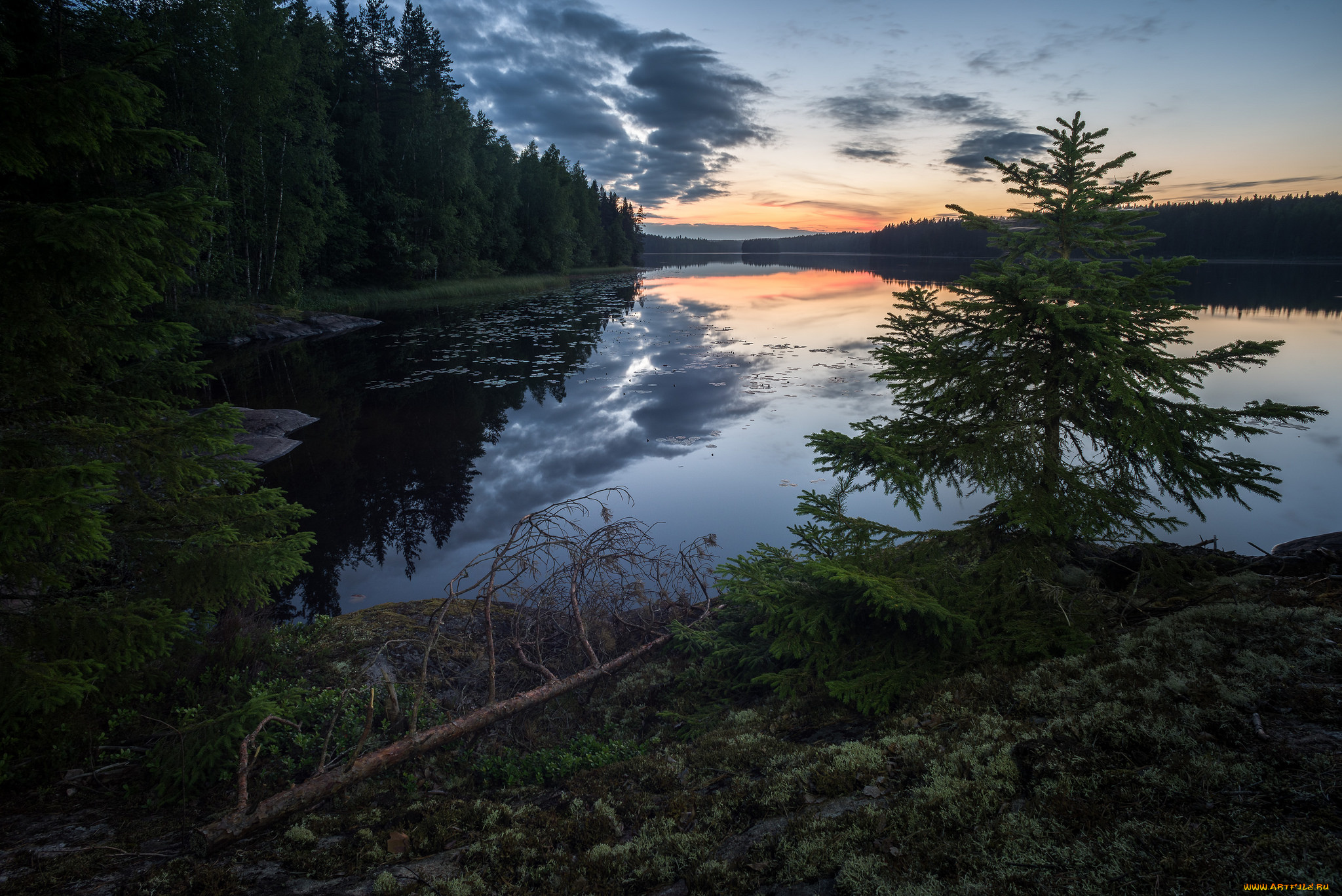 природа, реки, озера, простор