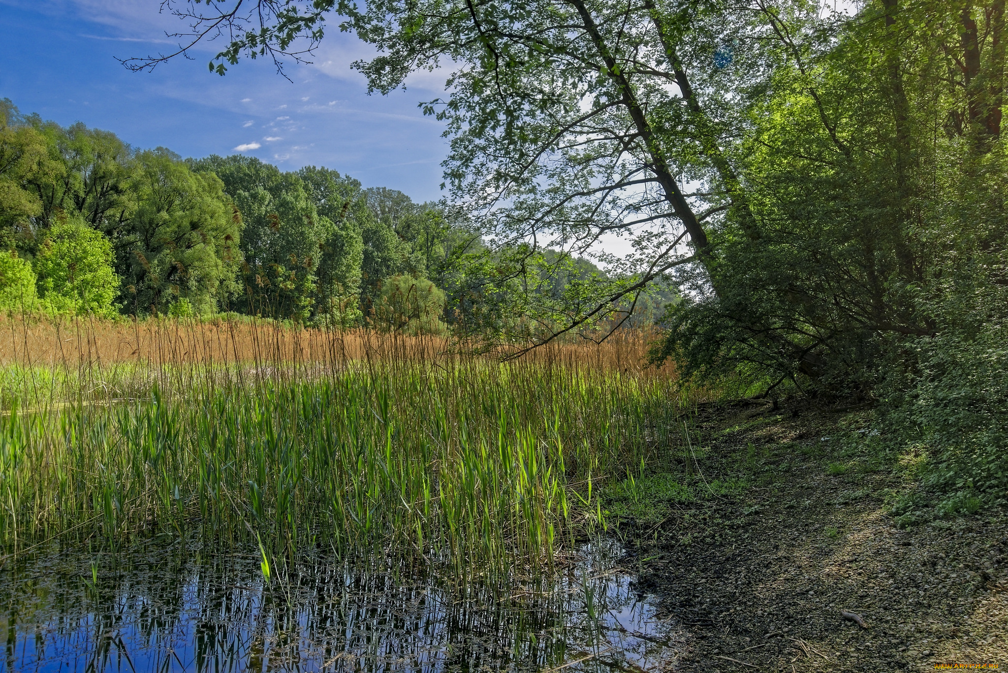 природа, реки, озера, простор