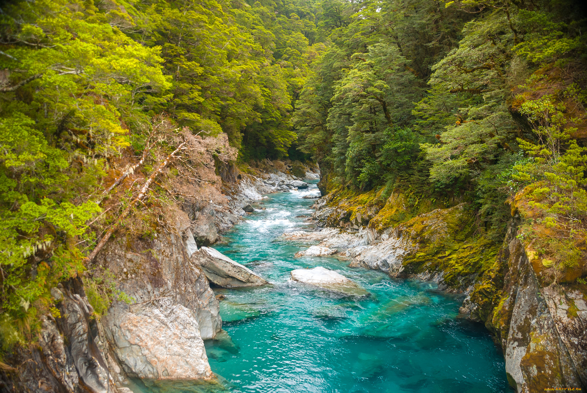 природа, реки, озера, простор