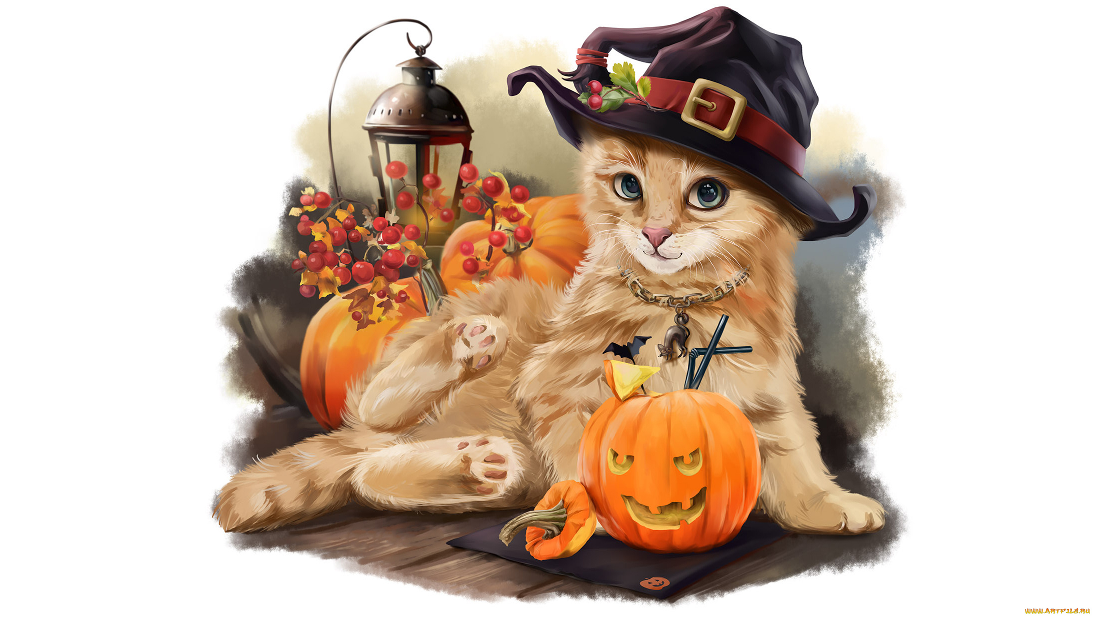 праздничные, хэллоуин, взгляд, тыква, фон, кот