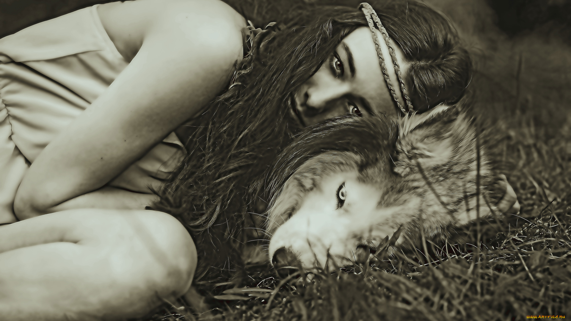 календари, компьютерный, дизайн, собака, девушка, вместе, лежать, взгляд