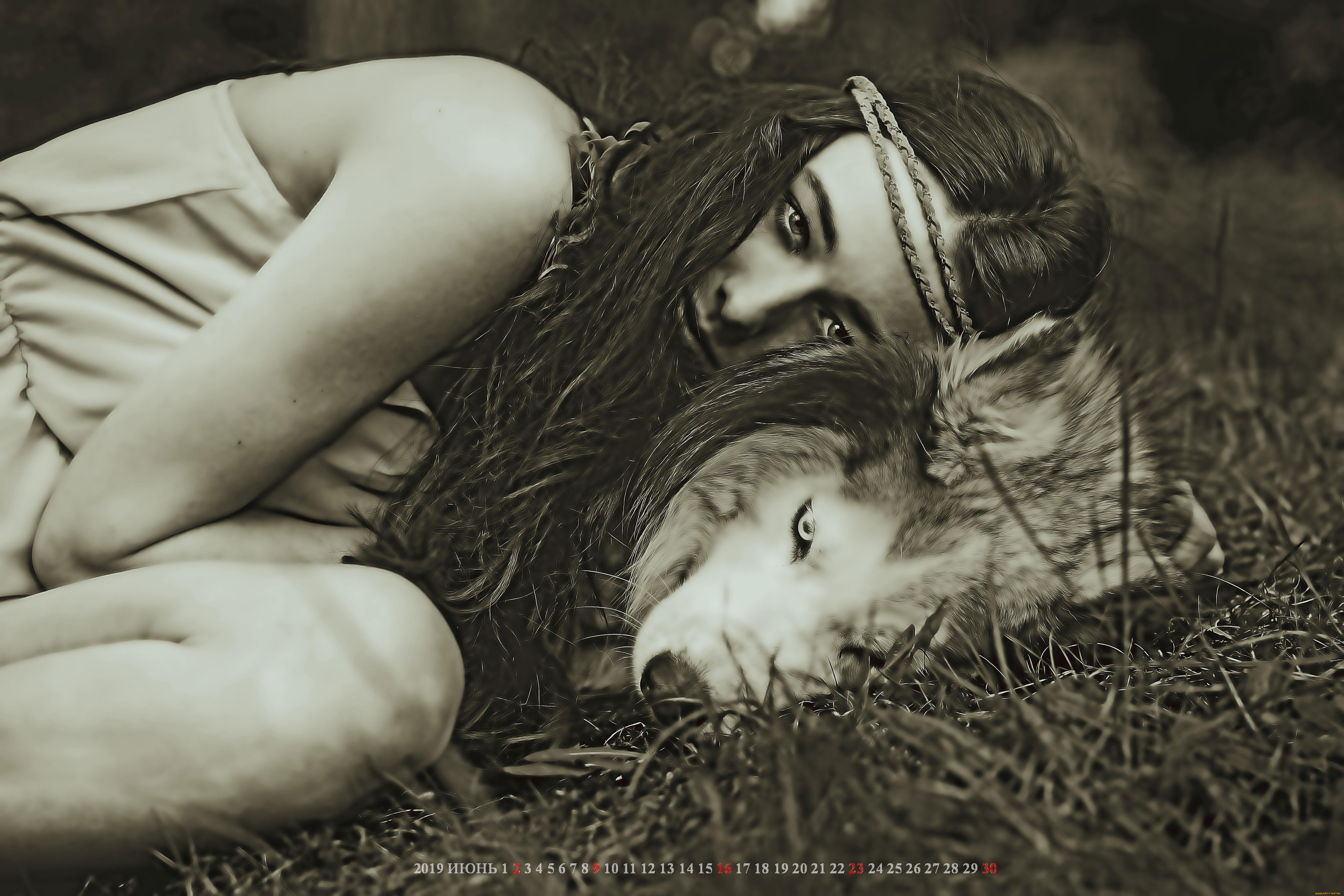 календари, компьютерный, дизайн, собака, девушка, вместе, лежать, взгляд