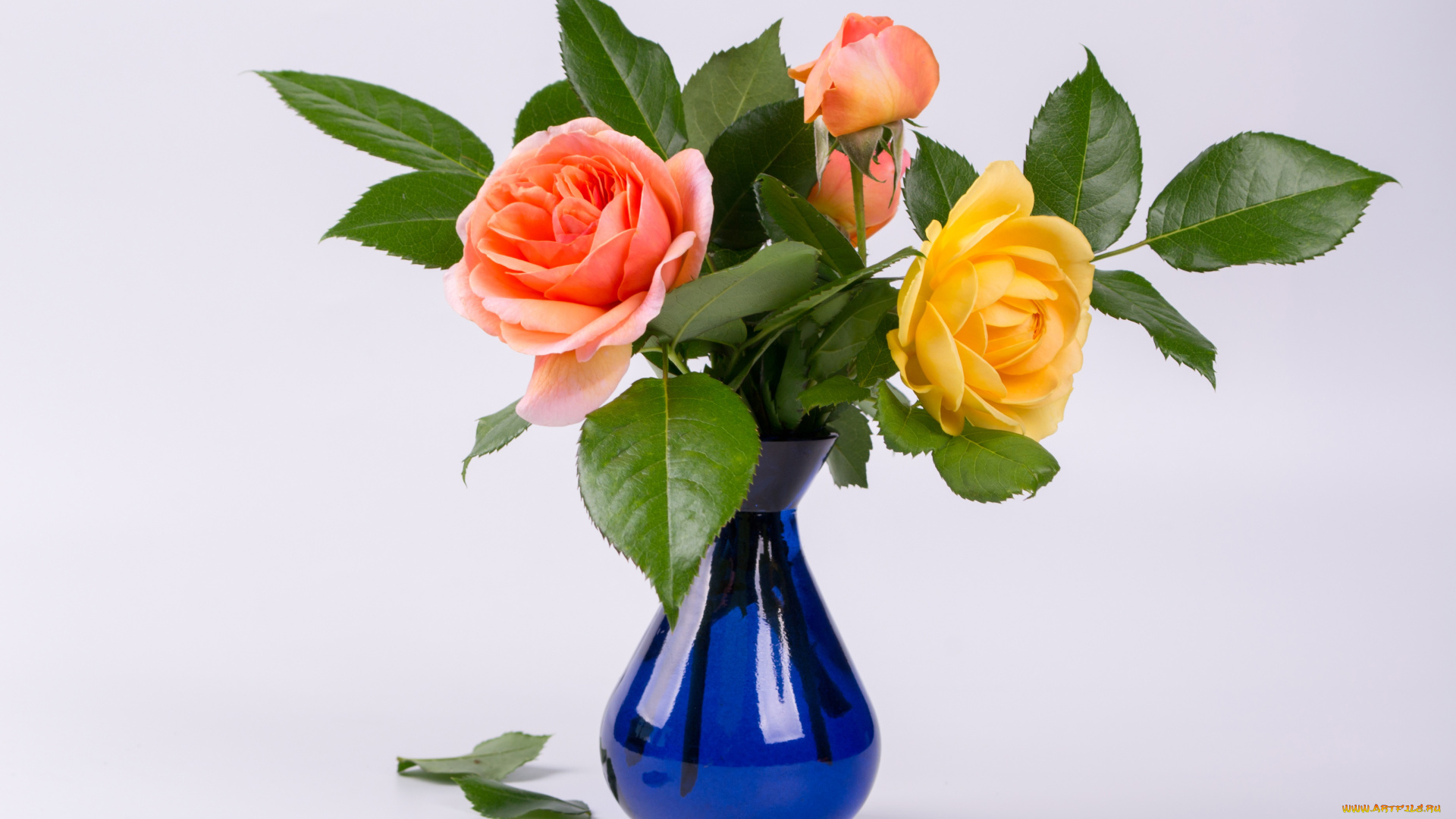 цветы, розы, ваза, букет