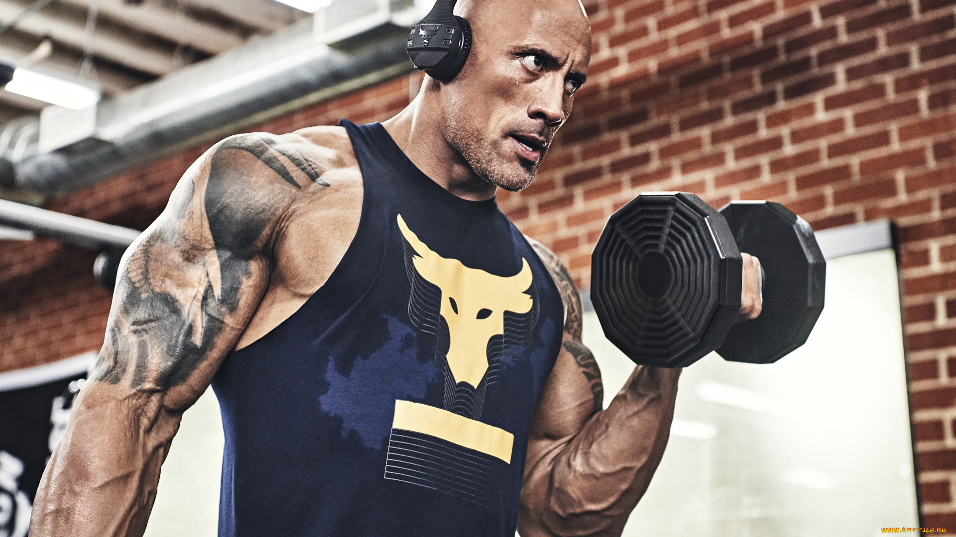 мужчины, dwayne, johnson, , the, rock, актер, майка, тату, гантели, тренировка